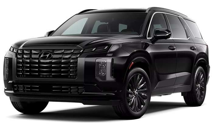 2025 Hyundai Palisade Calligraphy Night