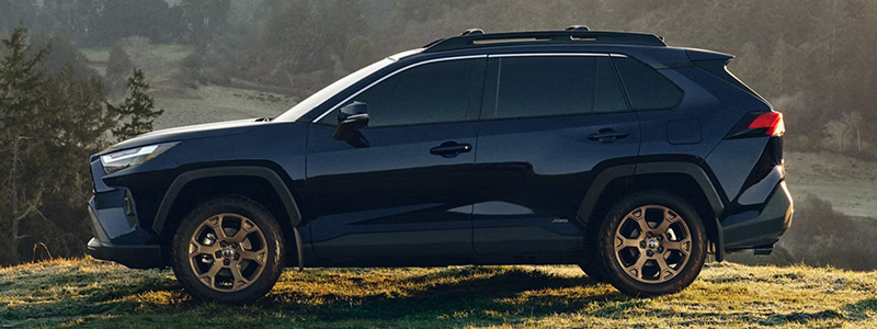 2025 Toyota RAV4 Baton Rouge Louisiana