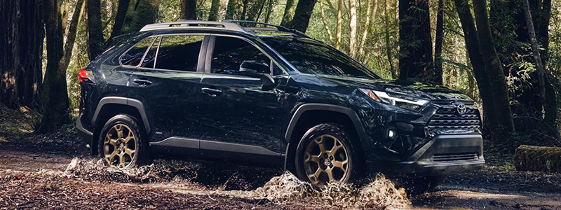 2025 Toyota RAV4 New Bern NC